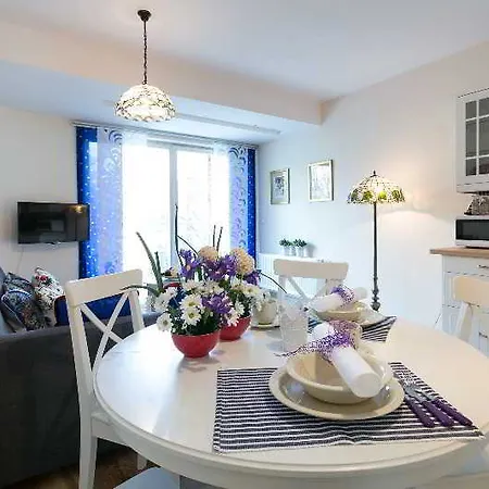 公寓 斯塔拉波拉纳vip公寓